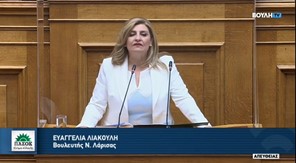 Ε. Λιακούλη στη Βουλή: «Έλλειμμα θωράκισης της Δημοκρατίας μας, η απόπειρα παρακολούθησης του Νίκου Ανδρουλάκη»